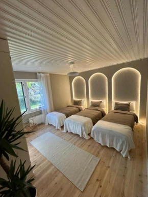 The Luna Lounge, villa with sauna, Rovaniemi